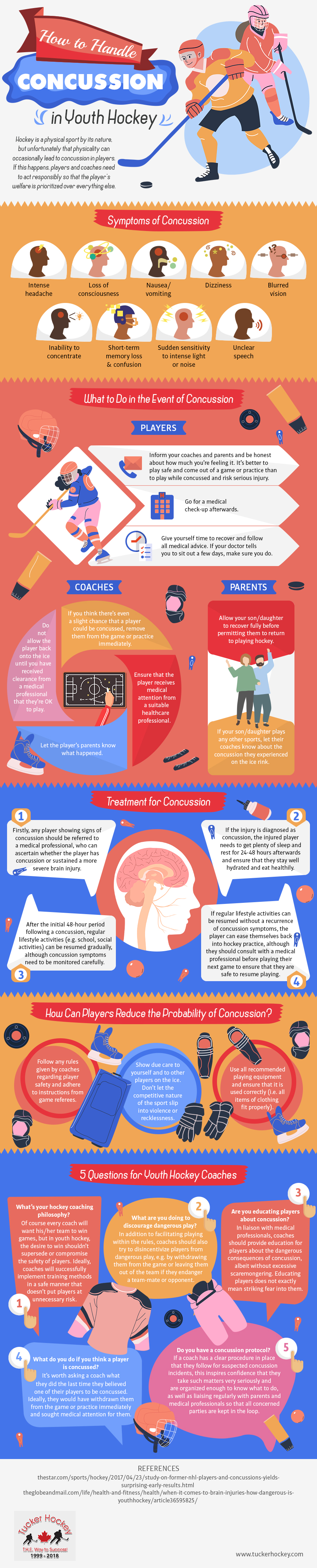 Hockey Concussion Infographic