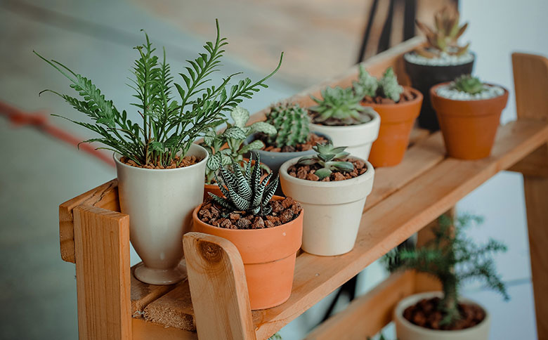 Indoor Plant Pot