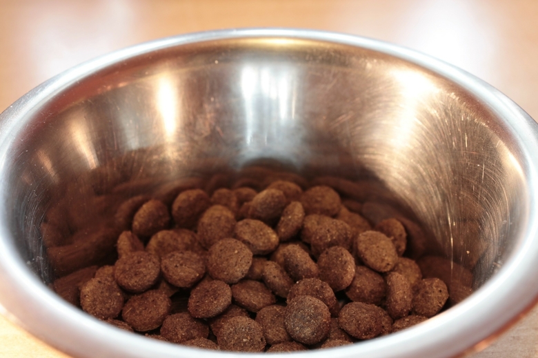 Dog Food Bowl